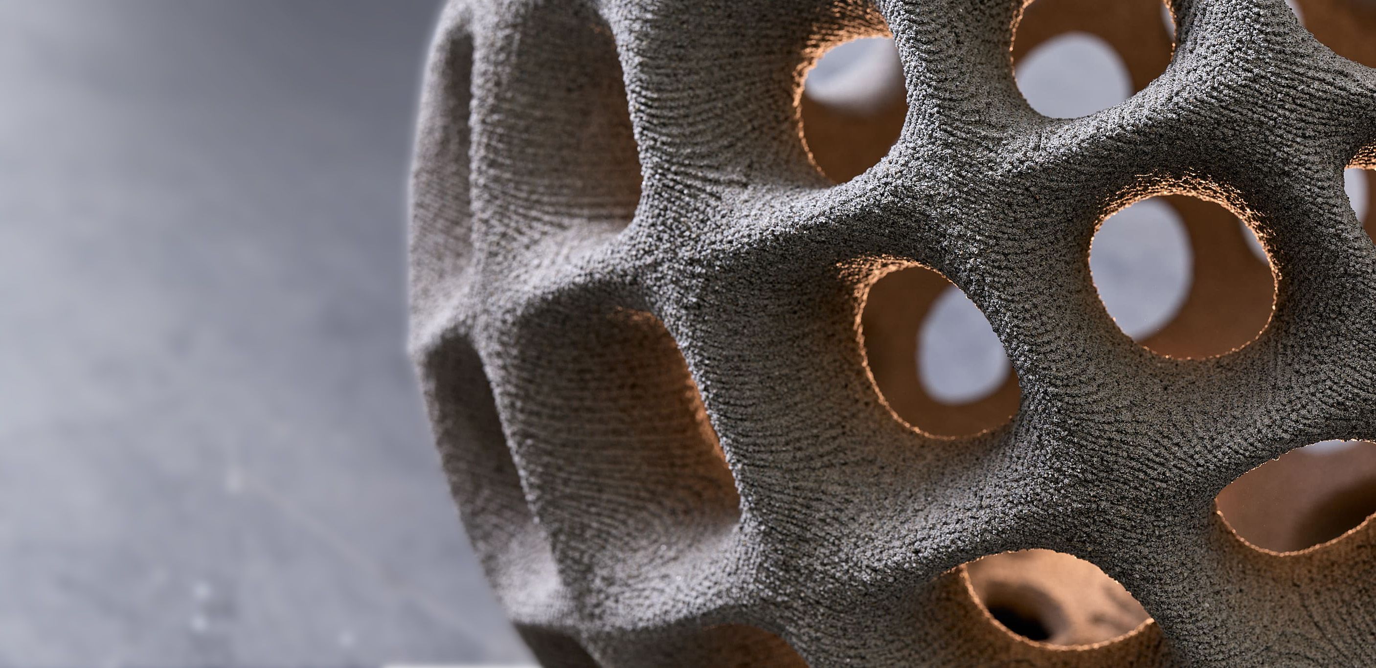 Mangrove 3D Image